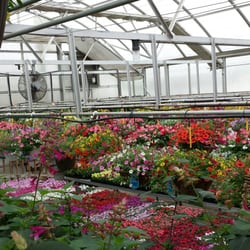 Levengood's Flowers