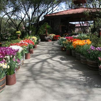 Ironstone Vineyards - Flowers all around the property - Wineries Near Me - Murphys, California Ironstone Vineyards - Flowers all around the property - Wineries Near Me - Murphys, California