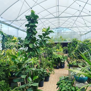 Bloomers Garden Center - Nurseries & Gardening Near Me - Elgin, Texas