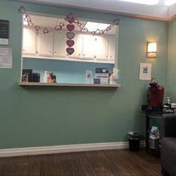 Tammy Tran DDS