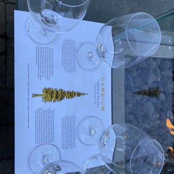 Sequoia Grove Winery - So excited! - Wine Tasting Room Near Me - Rutherford, California Sequoia Grove Winery - So excited! - Wine Tasting Room Near Me - Rutherford, California