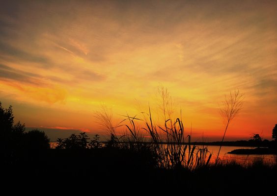 JAMESTOWN BEACH - 43 Photos & 19 Reviews - Beaches - 2152-2200