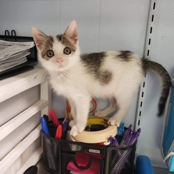 Jackson Veterinary Clinic - AFTER receiving care from Jackson Veterinary Clinic