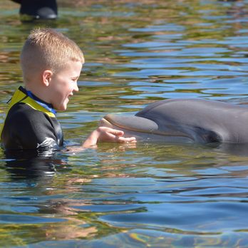 Discovery Cove - Amusement Parks Near Me - Orlando, Florida
