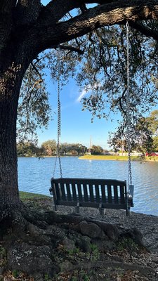 Bayou St John by null