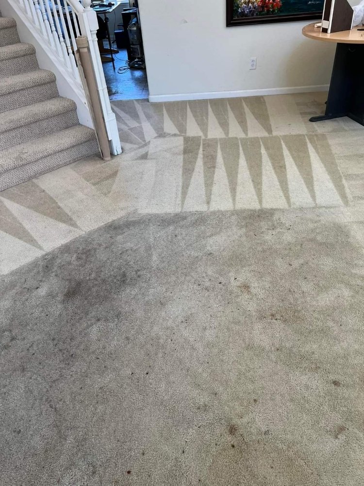 EZY CLEAN Updated July 2024 38 Photos Beaverton, Oregon Carpet