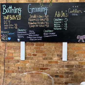 The Golden Dog - Prices! - Pet Stores Near Me - Gaffney, South Carolina The Golden Dog - Prices! - Pet Stores Near Me - Gaffney, South Carolina