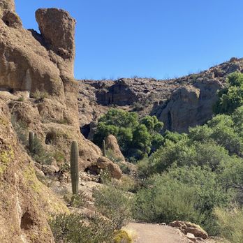 Boyce Thompson Arboretum - Main trail heading toward queen creek. - Botanical Gardens Near Me - Superior, Arizona Boyce Thompson Arboretum - Main trail heading toward queen creek. - Botanical Gardens Near Me - Superior, Arizona