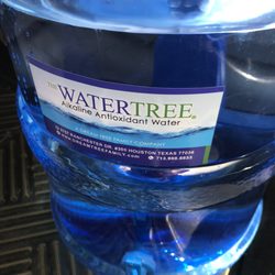 Water Tree - 3 gallons