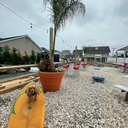 a dog on a surfboard