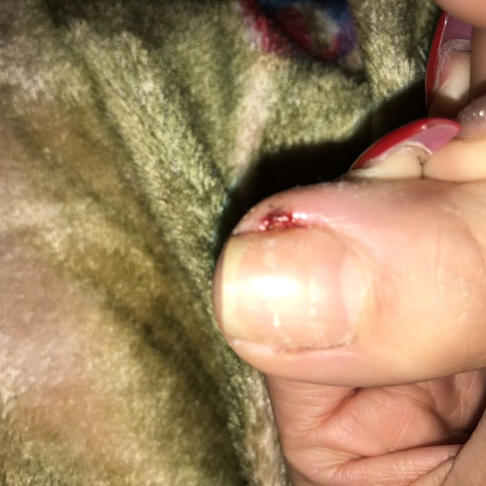 Art Nails - 2 days after - Nail Salons Near Me - El Monte, California Art Nails - 2 days after - Nail Salons Near Me - El Monte, California