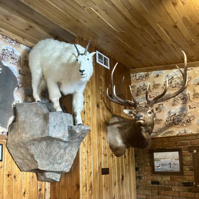 Rusty's Ranch House by null