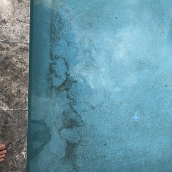 B M Wemple Pools - Pool Cleaners Near Me - Oviedo, Florida