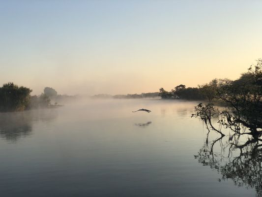 Yellow Water Cruise by null