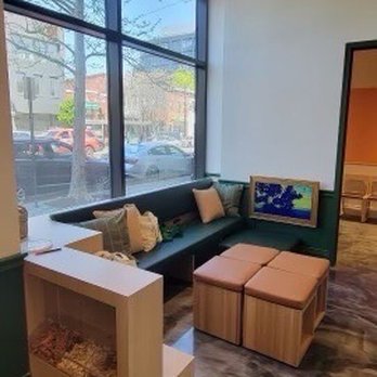 Parker & Ace - Veterinarians Near Me - Washington, DC, District of Columbia Parker & Ace - Veterinarians Near Me - Washington, DC, District of Columbia