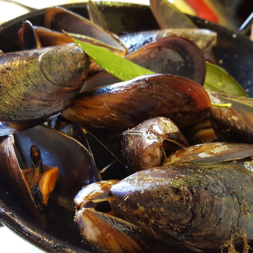 Casa Guinart - Mussels - cooked well, absolutely no flavor [3.5 stars, €7, $7.41] - Tapas Bars Near Me - Barcelona, B