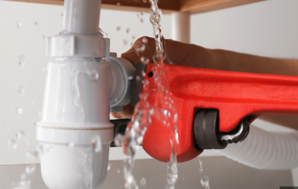 Slide of Renes plumbing