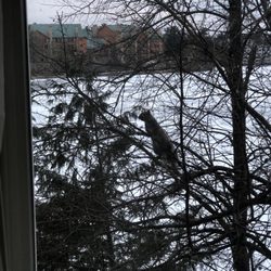 Cliffside Resort & Suites - View from room outside 1 window