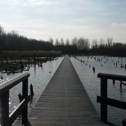 Verdronken Bos