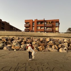 Ventura Pier - Merry Christmas