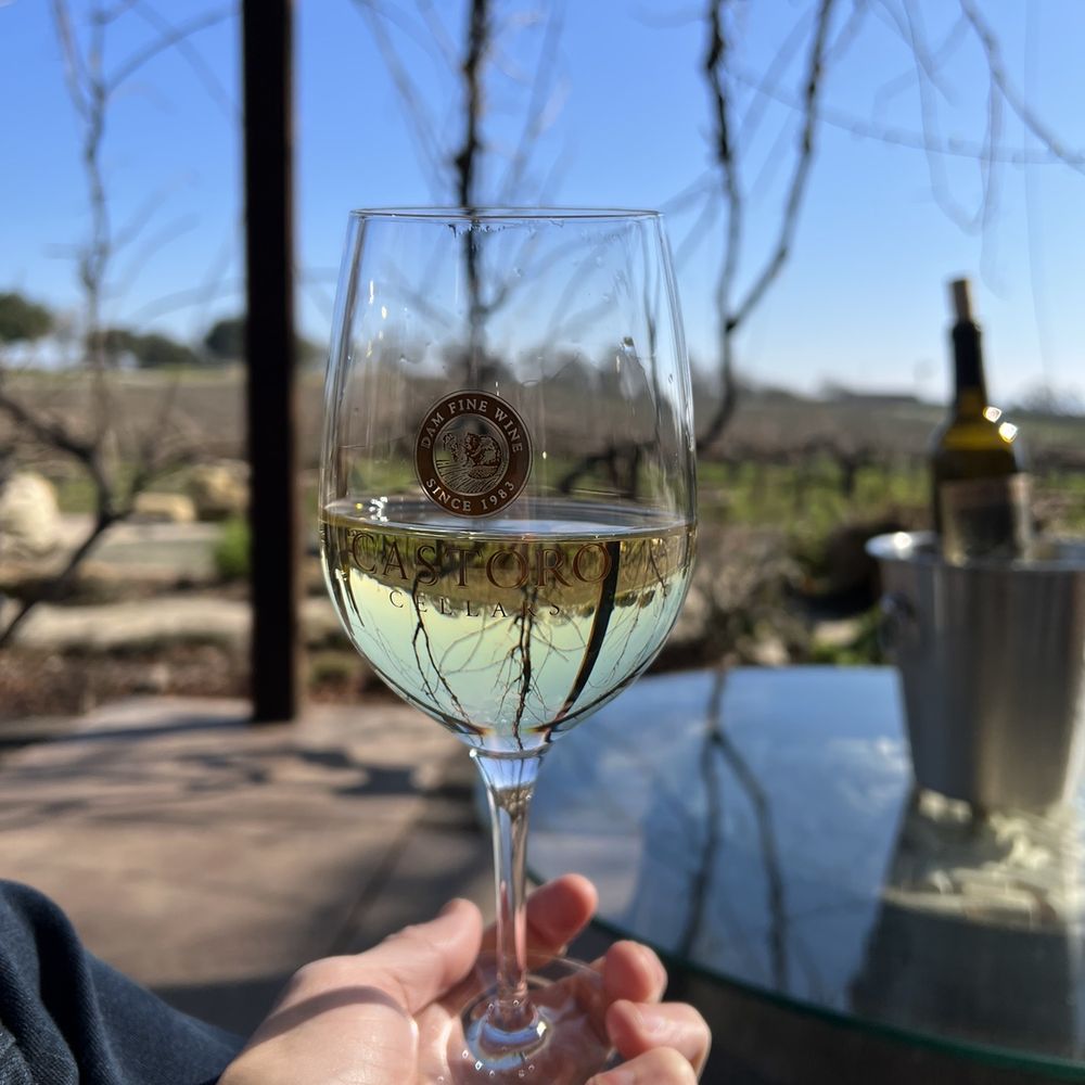 Castoro Cellars - a person holding a glass of wine - Wineries Near Me - Templeton, California Castoro Cellars - a person holding a glass of wine - Wineries Near Me - Templeton, California