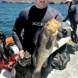 H but + nice Calico on same dive.