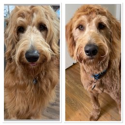 Before and after Before and after