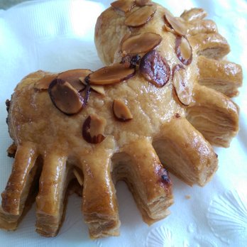 Wild Wheat - Flaky Bear Claw - Breakfast & Brunch Near Me - Kent, Washington Wild Wheat - Flaky Bear Claw - Breakfast & Brunch Near Me - Kent, Washington
