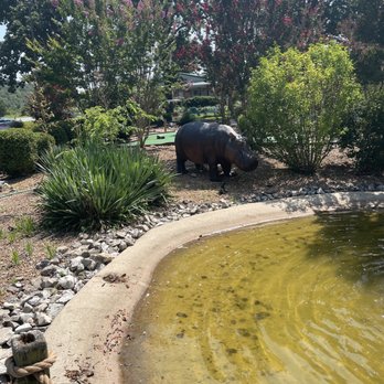 Little T's Mini Golf & More - Hippo - Mini Golf Near Me - Mountain Home, Arkansas Little T's Mini Golf & More - Hippo - Mini Golf Near Me - Mountain Home, Arkansas