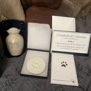 Veterinary Emergency Group - This is what I got back from VEG! They do such a great job! Top notch all the way. I love you guys!! - Emergency Pet Hospital Near Me - San Ramon, California