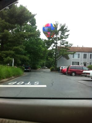 Boar's Head Resort by null