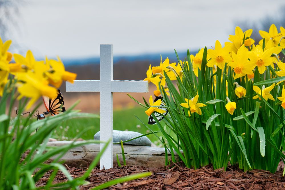 St. Patrick Cemetery - veterans service organization in Kent, WA