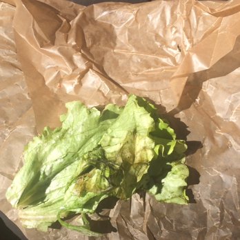 Panera Bread - Would you eat this nasty a** lettuce on your sandwich?? Sick and tired of getting this quality of food from the Panera Bread in Gastonia. - Sandwiches Near Me - Gastonia, North Carolina Panera Bread - Would you eat this nasty a** lettuce on your sandwich?? Sick and tired of getting this quality of food from the Panera Bread in Gastonia. - Sandwiches Near Me - Gastonia, North Carolina
