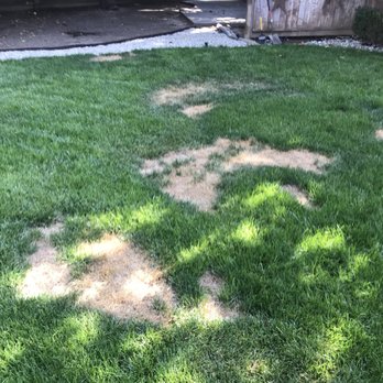 Meza Landscaping - Area after repatching - Landscaping Near Me