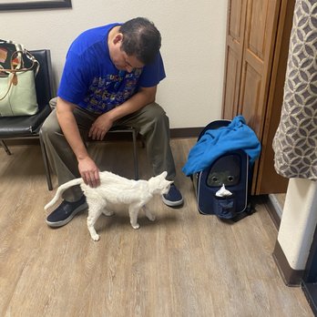 Princevalle Pet Hospital - Veterinarians Near Me - Gilroy, California Princevalle Pet Hospital - Veterinarians Near Me - Gilroy, California