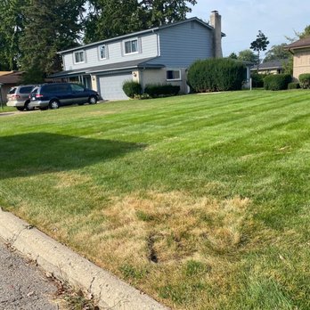 GreenX Lawn and Tree Care - Lawn Services Near Me - Shelby Township, Michigan GreenX Lawn and Tree Care - Lawn Services Near Me - Shelby Township, Michigan