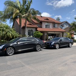 Swan Limousine - Twin sisters waiting at home