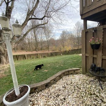 Quinn Landscaping - Quick residential back yard landscape work. - Landscaping Near Me Quinn Landscaping - Quick residential back yard landscape work. - Landscaping Near Me