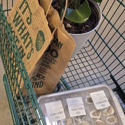 Whole Foods Market