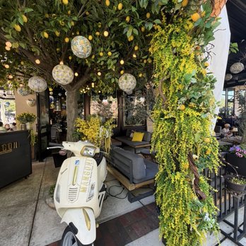 Mangoni - Pizza Near Me - Winter Garden, Florida