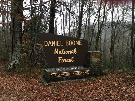 Daniel Boone National Forest by null