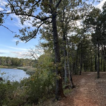 Fairfield Lake State Park - Scenic views - Parks Near Me - Fairfield, Texas Fairfield Lake State Park - Scenic views - Parks Near Me - Fairfield, Texas