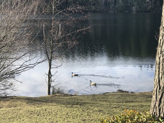 Lake Padden Park by null