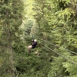 Riding through the treetops Riding through the treetops