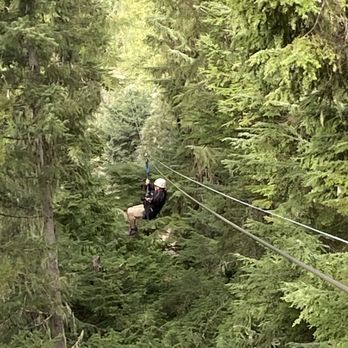Ziptrek Ecotours - Riding through the treetops - Tours Near Me - Whistler, British Columbia Ziptrek Ecotours - Riding through the treetops - Tours Near Me - Whistler, British Columbia