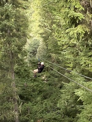 Ziptrek Ecotours by null