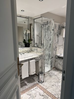 Le Meurice by null