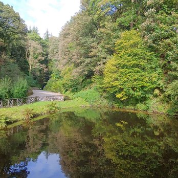 Glengoyne Distillery - Beer, Wine & Spirits Near Me - Near Killearn, GLG Glengoyne Distillery - Beer, Wine & Spirits Near Me - Near Killearn, GLG