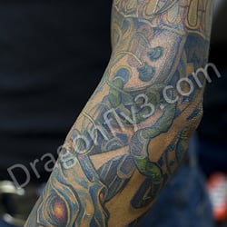 Dragonfly 3