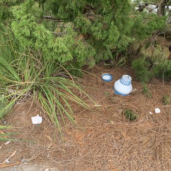 Five Star Properties Real Estate - Portable pool chlorine tablet dispenser in flowerbed - Vacation Rentals Near Me - Miramar Beach, Florida Five Star Properties Real Estate - Portable pool chlorine tablet dispenser in flowerbed - Vacation Rentals Near Me - Miramar Beach, Florida
